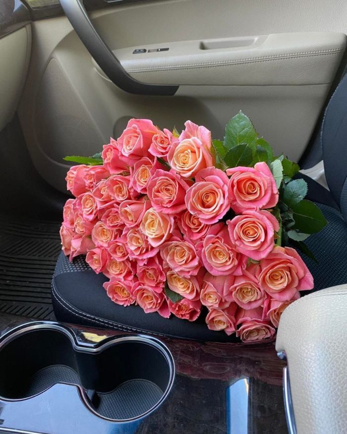 31 рожева троянда