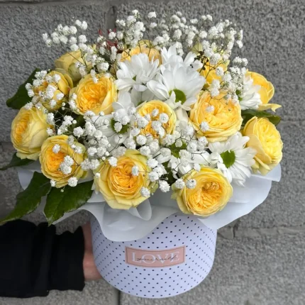 Сонячний настрій