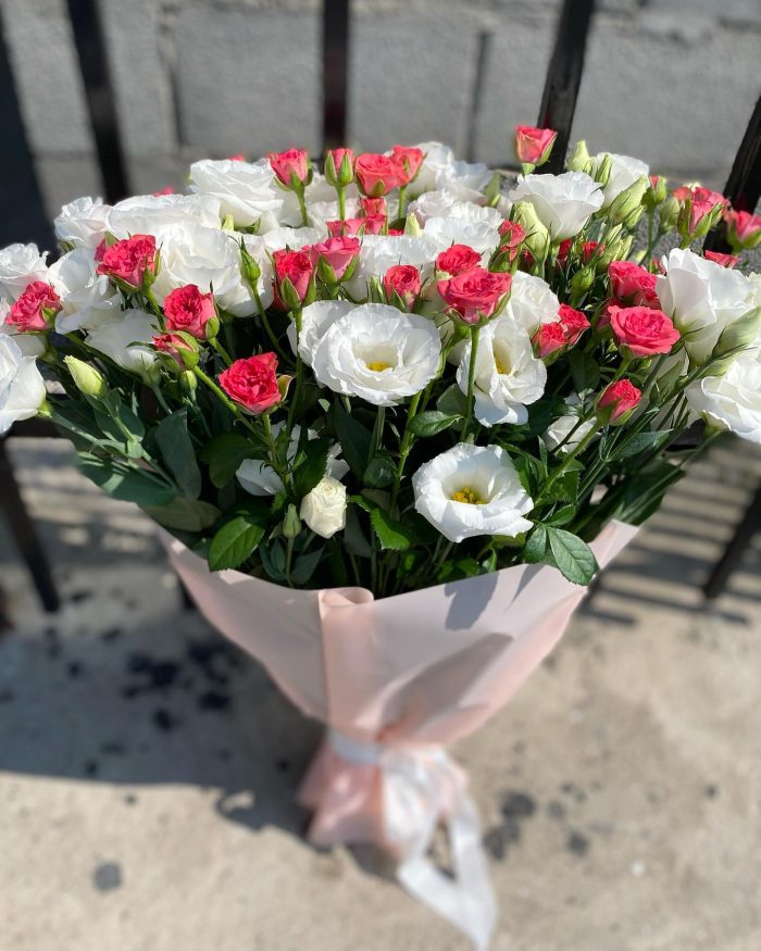 Преміум ніжність