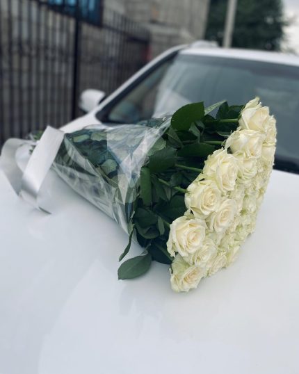 101 біла троянда XL
