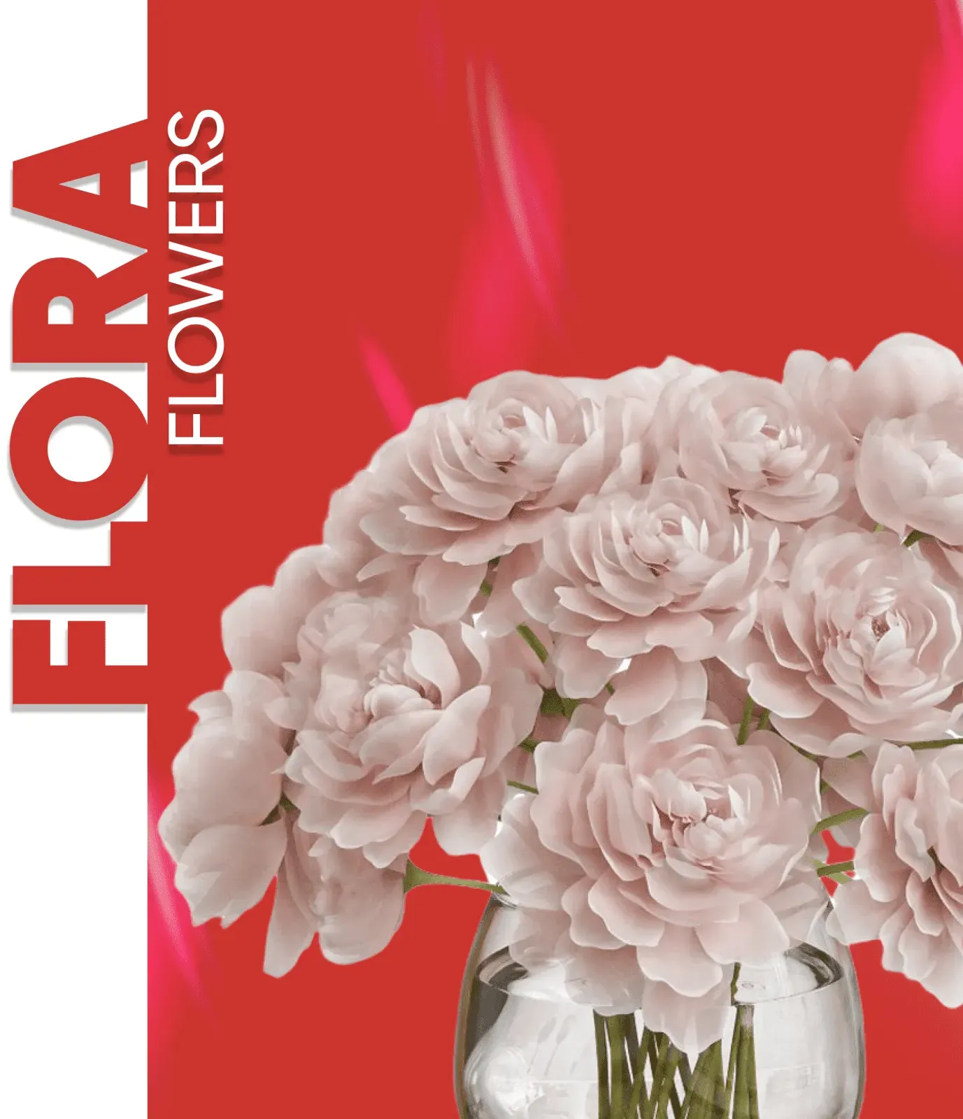 Flora Flowers