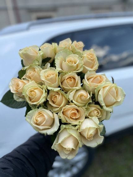 15 кремових троянд
